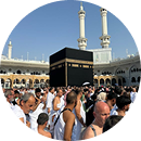 Pillar Image